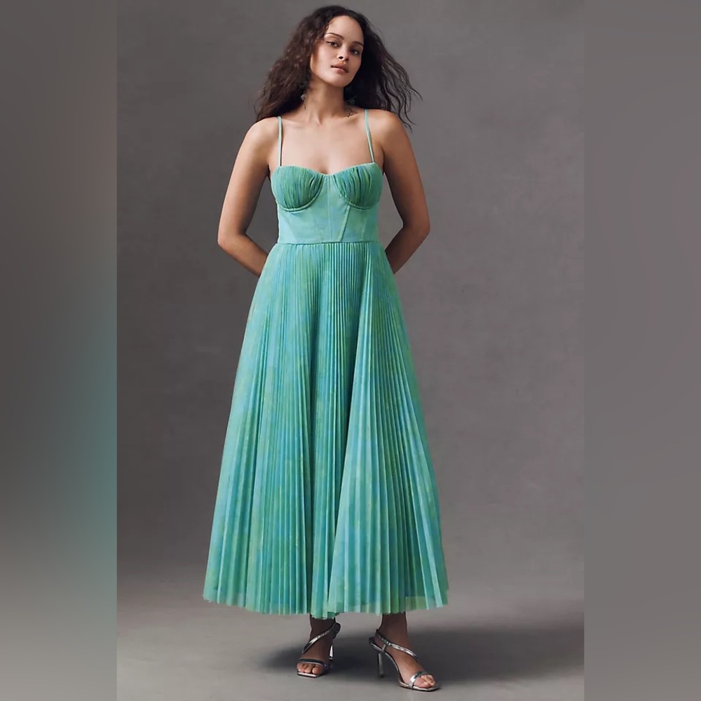 Hutch Amara Corset Pleated Tulle Fit & Flare Midi Dress